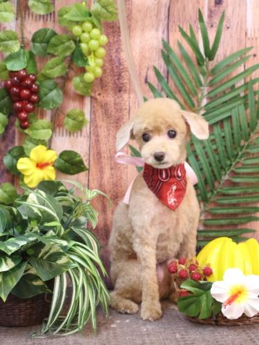 20230812ネネちゃん